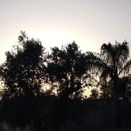 Bed & Breakfast Nonno Pippi Lido Conchiglia