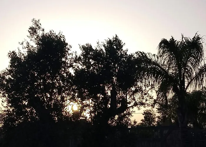 לינה וארוחת בוקר Nonno Pippi Lido Conchiglia